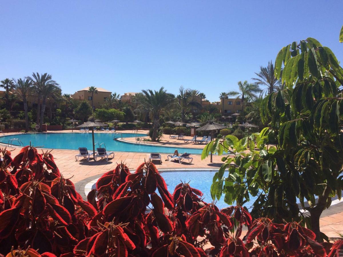 Tropical Garden Retreat: Private Terrace & Pool Oasis Apartment Corralejo Exterior photo