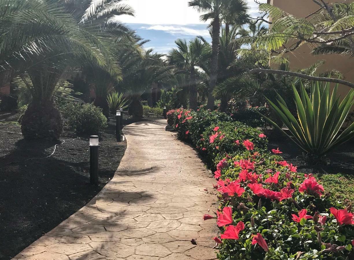Tropical Garden Retreat: Private Terrace & Pool Oasis Apartment Corralejo Exterior photo